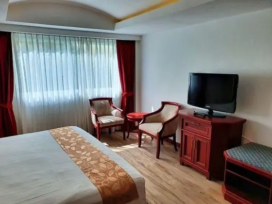 Superior Tek Büyük Yataklı Oda