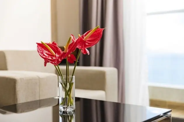 Luxury Süit, Balkon, Deniz Manzaralı (Sea Pearl)
