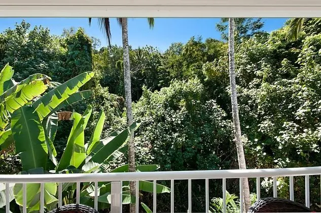 Rainforest Canopy Two Bedroom Apartment