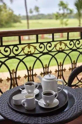Executive Tek Büyük Yataklı Oda, 1 En Büyük (King) Boy Yatak, Balkon, Bahçe Manzaralı