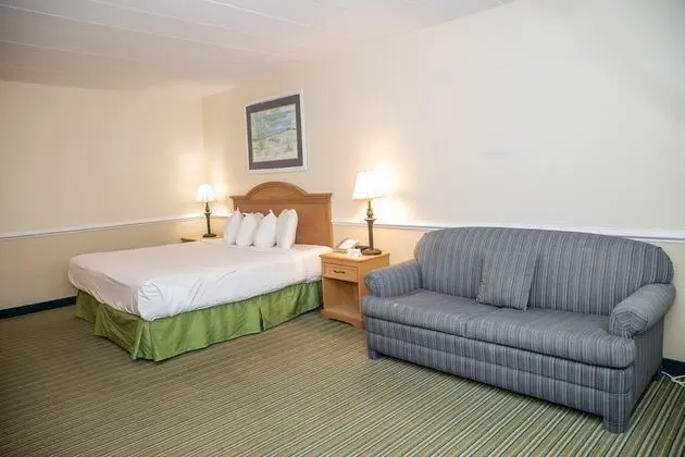 Basic Room - 1 King Bed - No View / 2 Story Bldg No Elevator