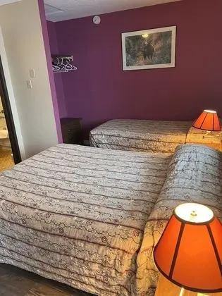 Deluxe Tek Büyük Yataklı Oda, Küçük Mutfak