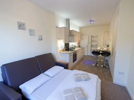 Apart Daire, 1 Yatak Odası, Sigara İçilmez (Apt 16)