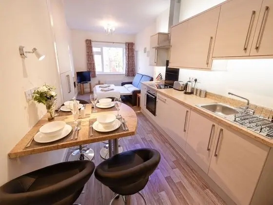 Apart Daire, 1 Yatak Odası, Sigara İçilmez (Apt 16)