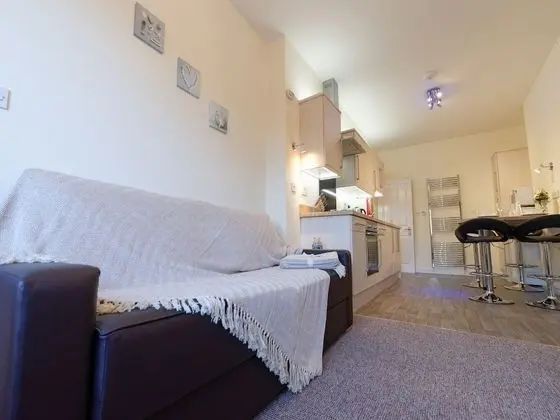 Apart Daire, 1 Yatak Odası, Sigara İçilmez (Apt 16)