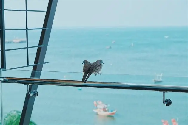 Süit, Deniz Manzaralı