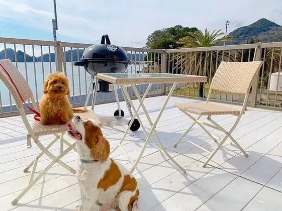 Panoramic Ev, 3 Yatak Odası, Teras, Okyanus Manzaralı