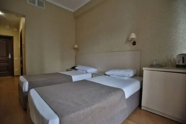 Standard Tek Büyük veya İki Ayrı Yataklı Oda, Şehir Manzaralı