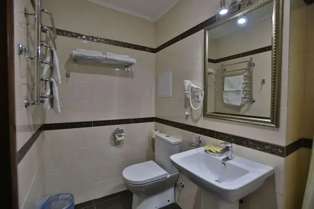 Standard Tek Büyük veya İki Ayrı Yataklı Oda, Şehir Manzaralı