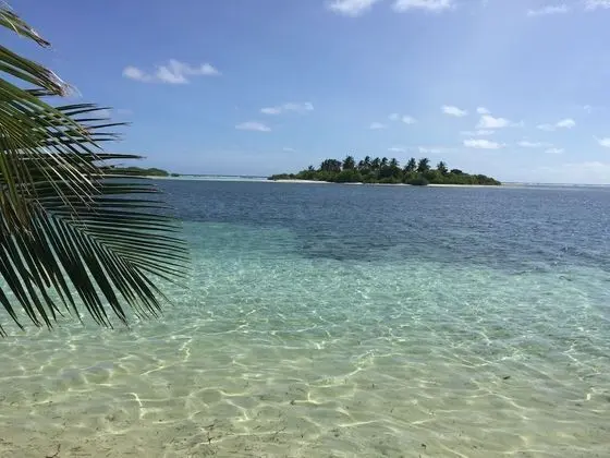 Honeymoon Tek Büyük Yataklı Oda