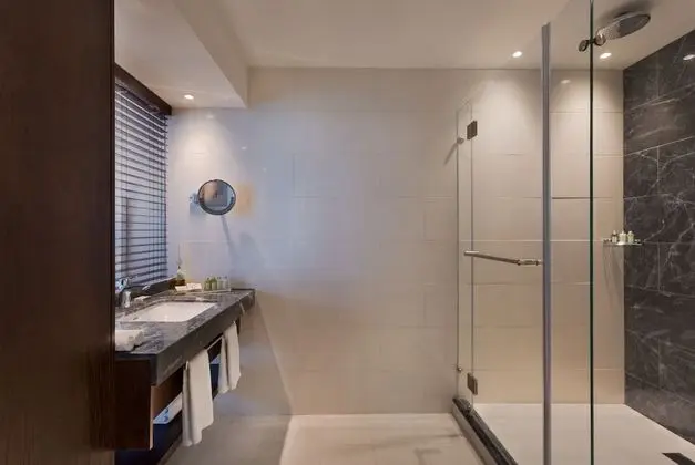 Deluxe Oda, Balkon, Şehir Manzaralı