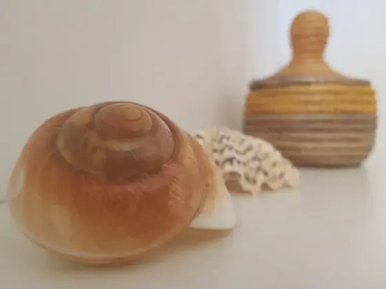 Exclusive Üç Kişilik Oda, Birden Çok Yatak, Sigara İçilmez, Avlu Manzaralı