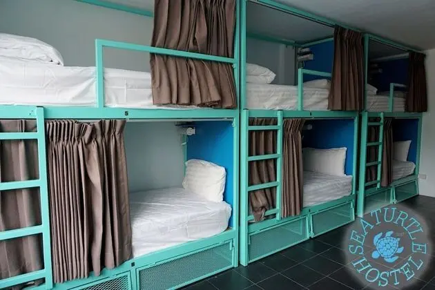 Mixed Shared Dormitory