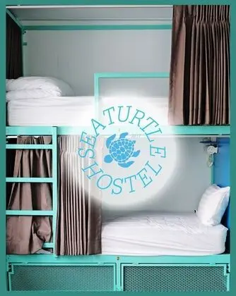 Mixed Shared Dormitory