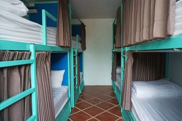 Mixed Shared Dormitory