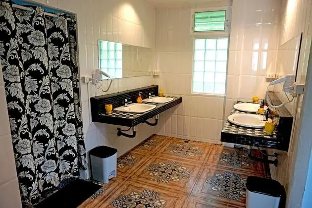 Mixed Shared Dormitory