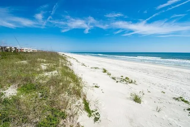 Daire (Sea Turtle Shores)