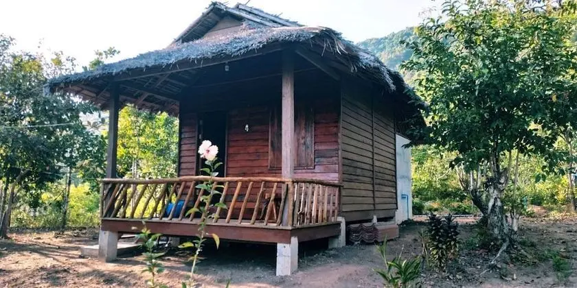 Traditional Oda