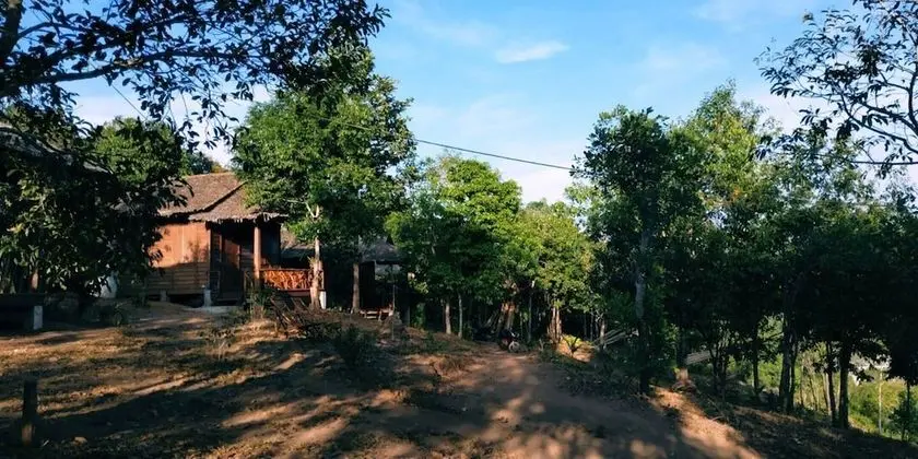 Traditional Oda
