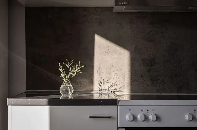 Çatı Katı Süiti (Penthouse)