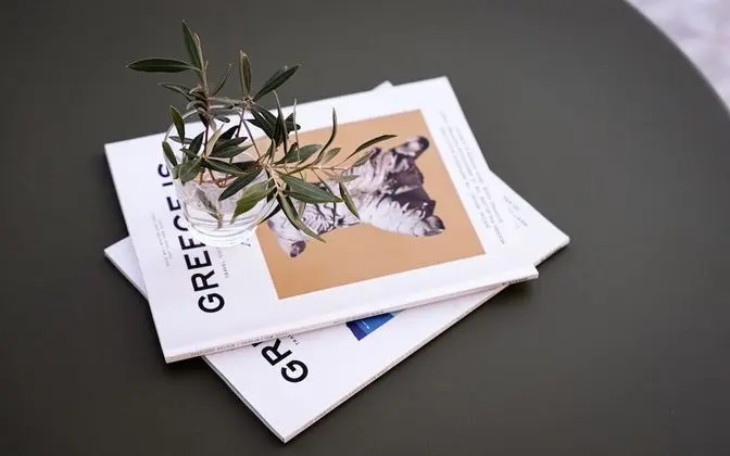 Çatı Katı Süiti (Penthouse)