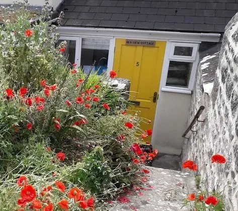 Traditional Kır Evi, Özel Banyo, Deniz Manzaralı