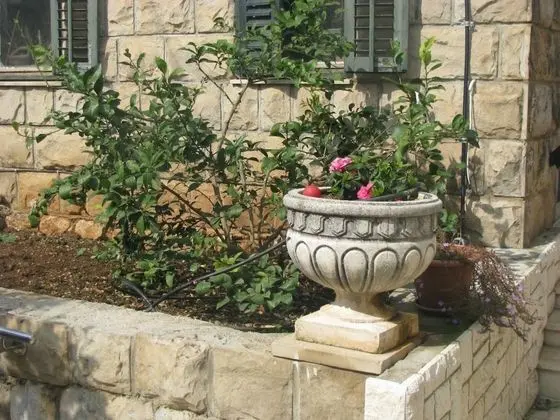 Comfort Villa, Deniz Manzaralı