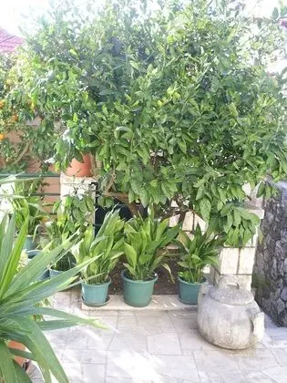 Panoramic Double Room, 1 Bedroom, Sea View