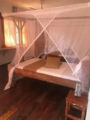 Standard Üç Kişilik Oda, 3 Tek Kişilik Yatak, Veranda, Havuz Manzaralı
