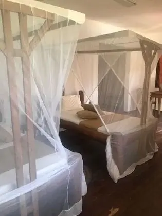 Standard Üç Kişilik Oda, 3 Tek Kişilik Yatak, Veranda, Havuz Manzaralı