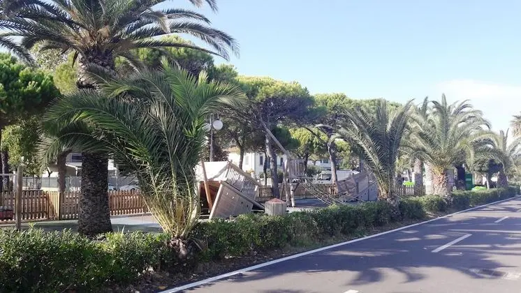 Apart Daire, 2 Yatak Odası, Balkon