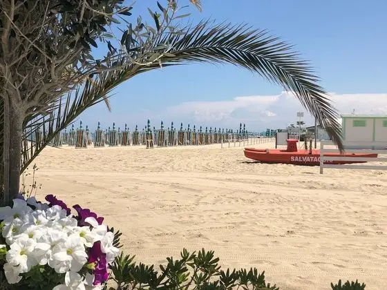 Apart Daire, 2 Yatak Odası, Balkon