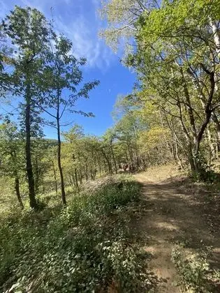 Apart Daire, 2 Yatak Odası, Balkon