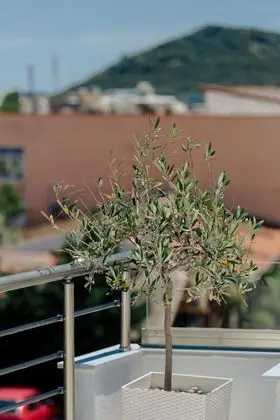 Oda, 1 Yatak Odası, Balkon