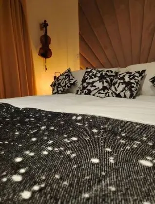 Stüdyo, 1 Yatak Odası, Buzdolabı