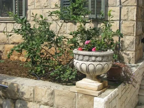 Apart Daire, 1 Yatak Odası, Teras