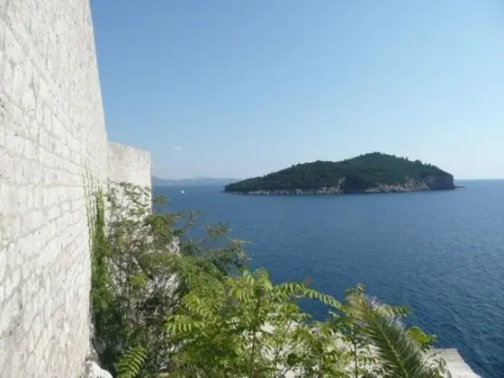 Apart Daire, 1 Yatak Odası, Teras