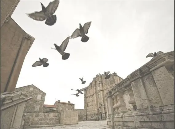 Apart Daire, 1 Yatak Odası, Teras