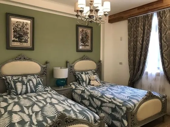 Deluxe İki Ayrı Yataklı Oda (301)