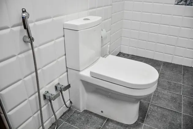 Deluxe Tek Büyük Yataklı Oda, 1 En Büyük (King) Boy Yatak, Sigara İçilmez