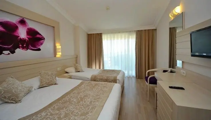 Standart Kara Manzraslı