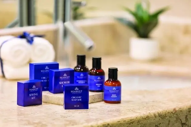 Premium Süit, 2 Çift Kişilik Yatak
