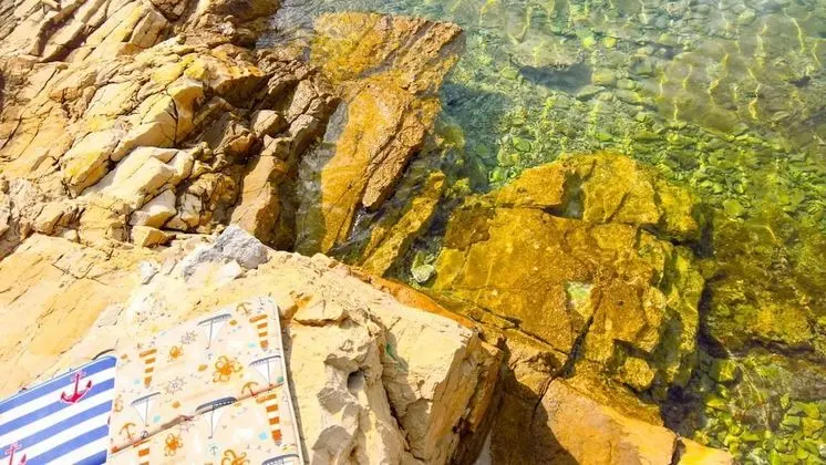 Apart Daire (Two Bedroom Apartment with Terrace)