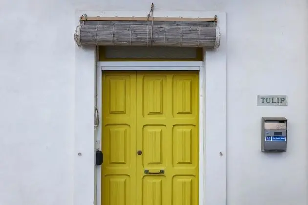 Ev