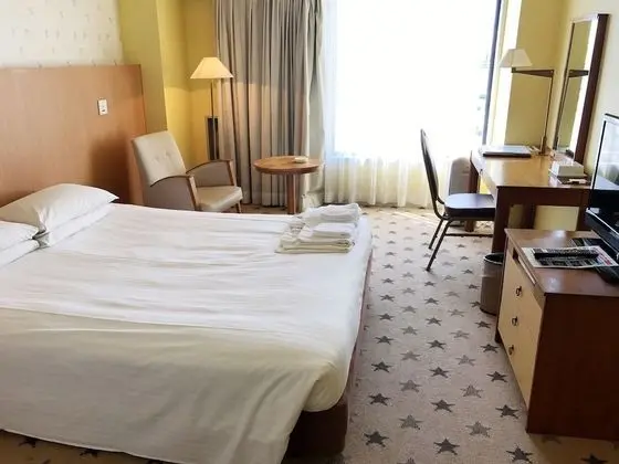 Tek Büyük Yataklı Oda, Sigara İçilmez (for 2 Guests)