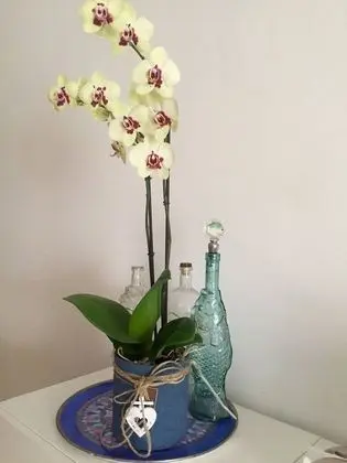 Ev, 2 Yatak Odası, Buzdolabı