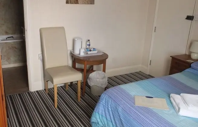 Standard Tek Büyük Yataklı Oda, Banyolu/Duşlu (Standard Double Room)