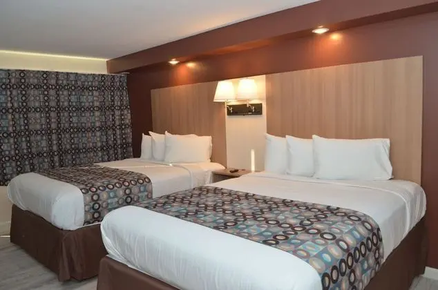 Deluxe Oda, 2 Çift Kişilik Yatak, Sigara İçilmez