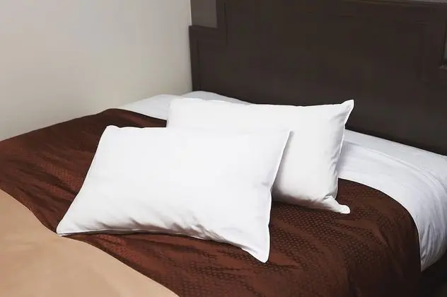 Tek Büyük Yataklı Oda, Sigara İçilebilir, Şehir Manzaralı