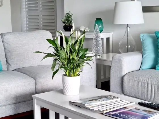 Luxury Apart Daire, 2 Yatak Odası, Sigara İçilmez